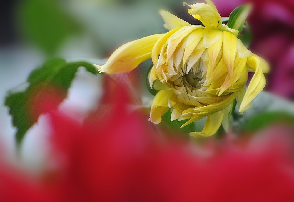 DSC_3089.jpg