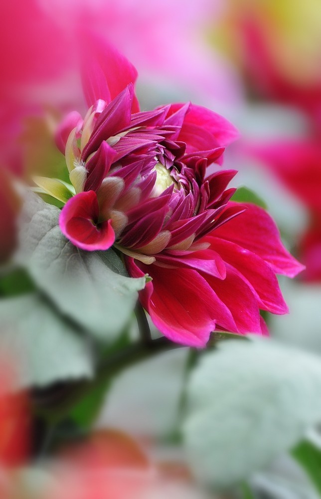 DSC_3120.jpg