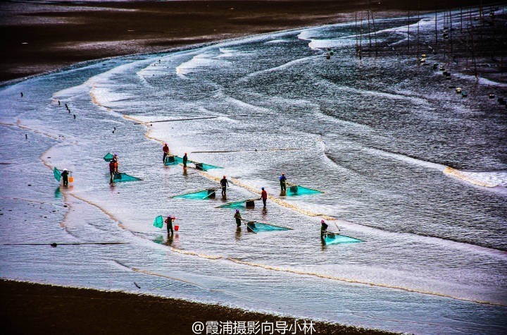 图片IMG_5427.JPG