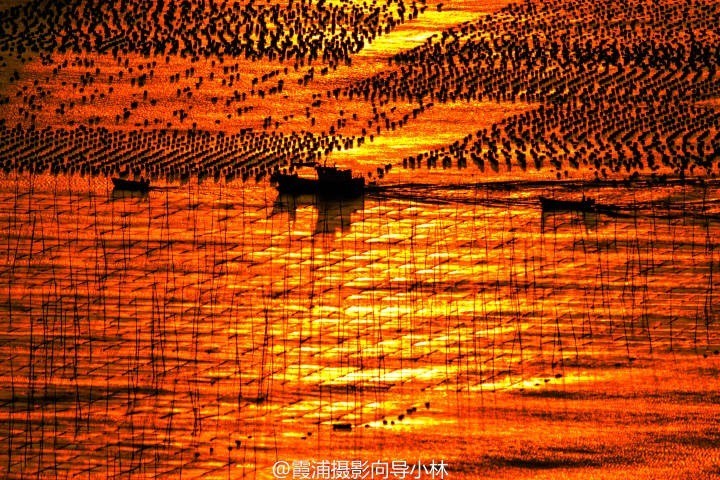 图片IMG_5472.JPG