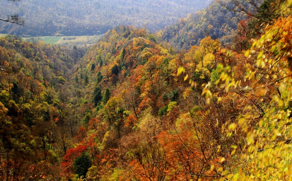 IMG_0280_副本_副本_副本_副本.jpg