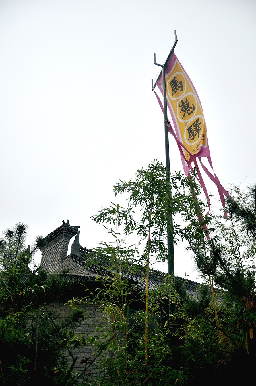 00_DSC0305.jpg