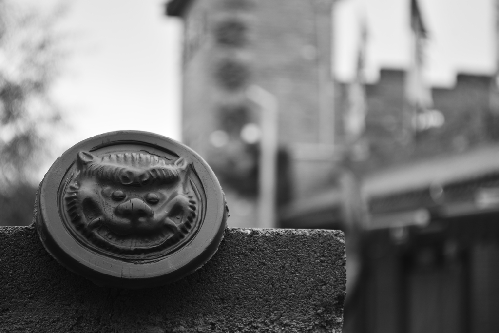_DSC8541.JPG