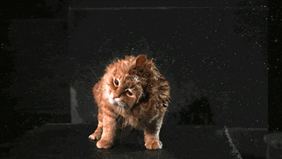 fd3159783e03c0abcbf9084c85d23f95.gif