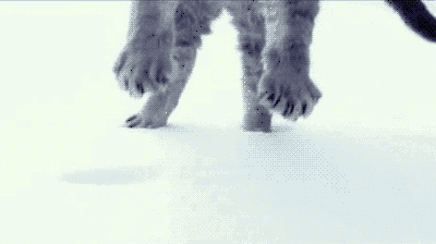 b6f6201a15065f7cfb17537b7cb9916c.gif