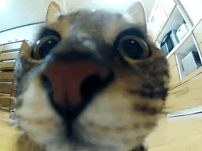 8d38b9389f8c6ecfc84e5fc720318d96.gif