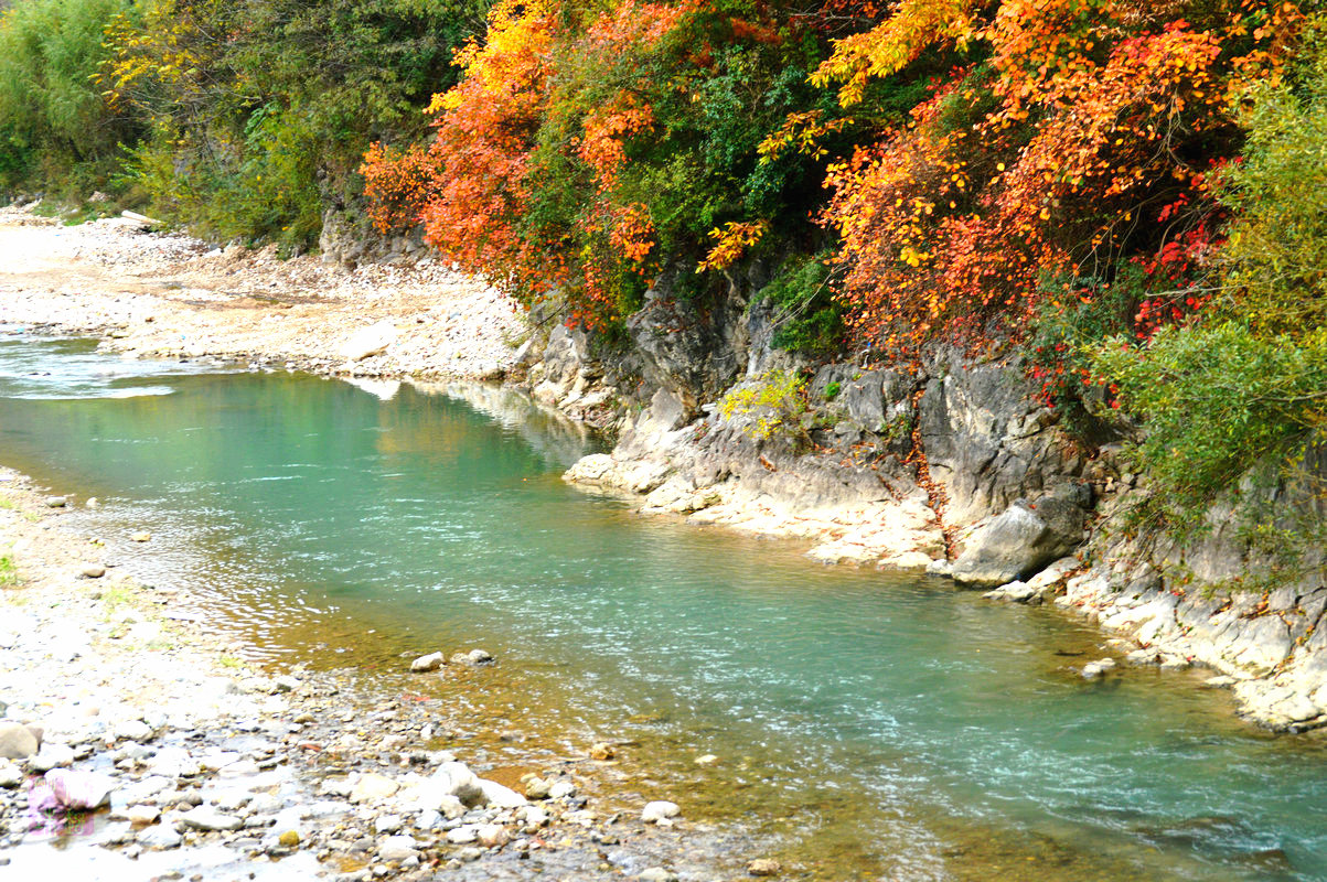 DSC_1461.JPG