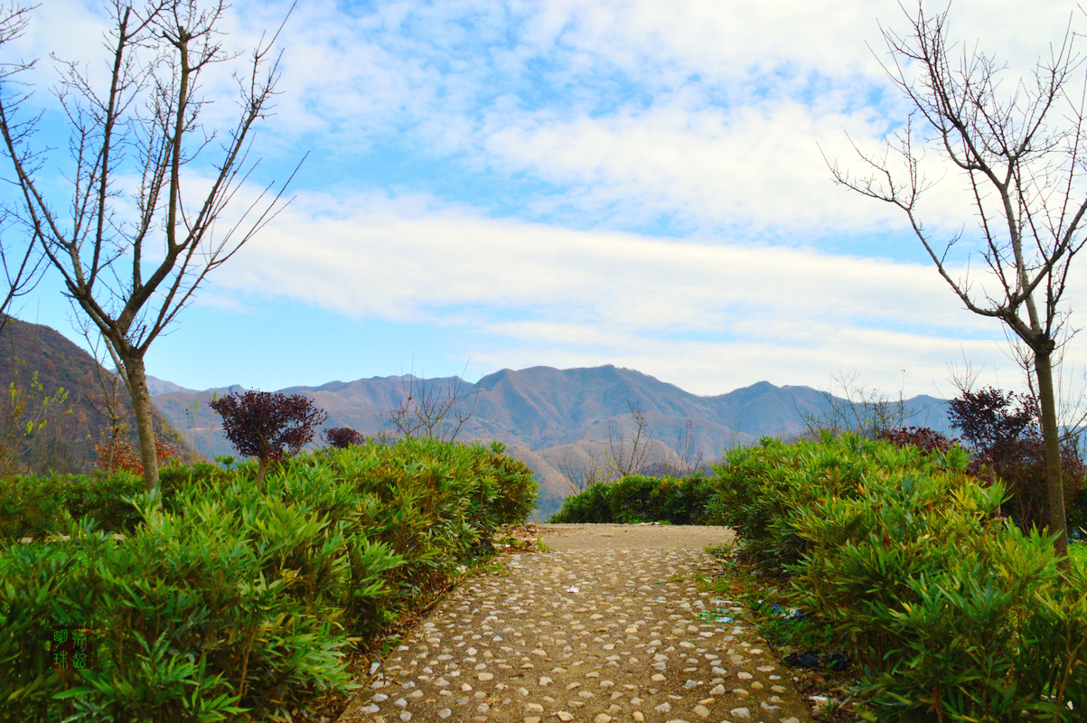 DSC_1578.JPG