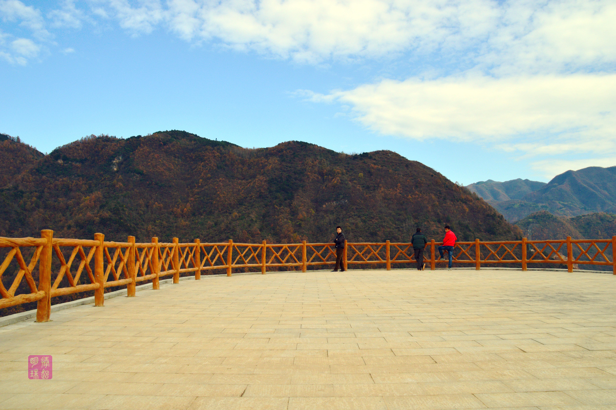 DSC_1580.JPG