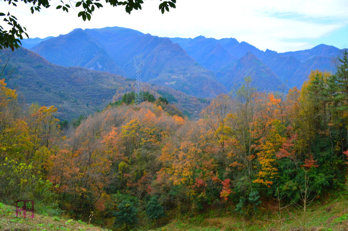 DSC_1581_副本.JPG