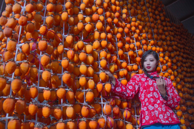 QQ截图20151201103843.png