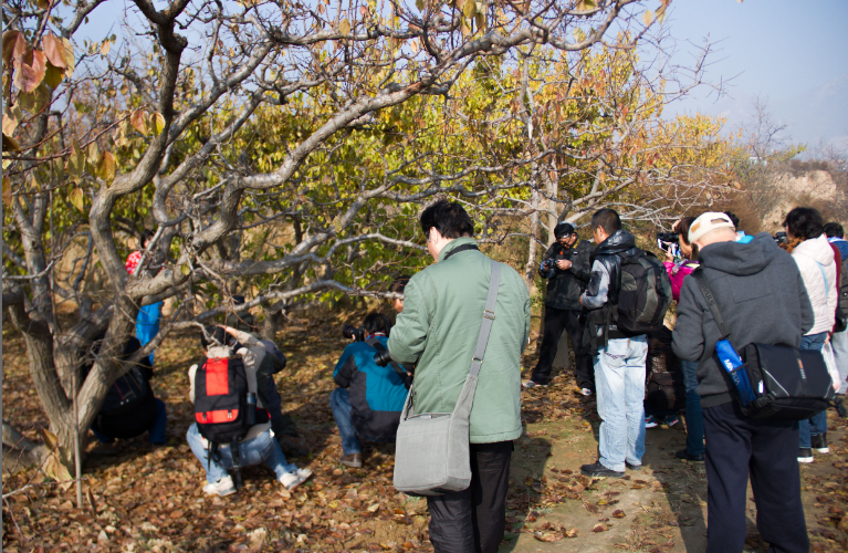 QQ截图20151201130235.png