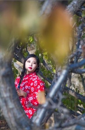 QQ截图20151201130244.png