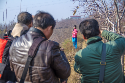QQ截图20151201130257.png