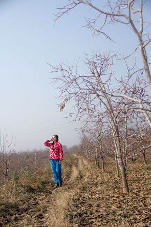 QQ截图20151201130307.png