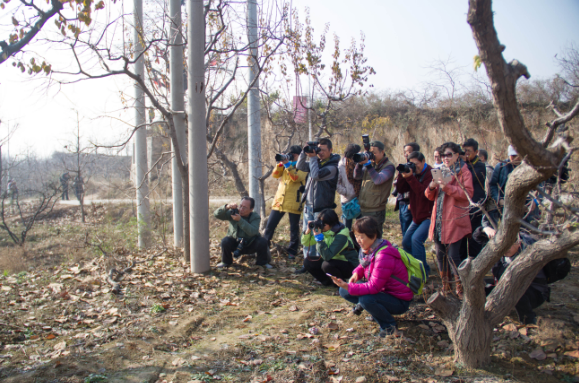 QQ截图20151201130351.png