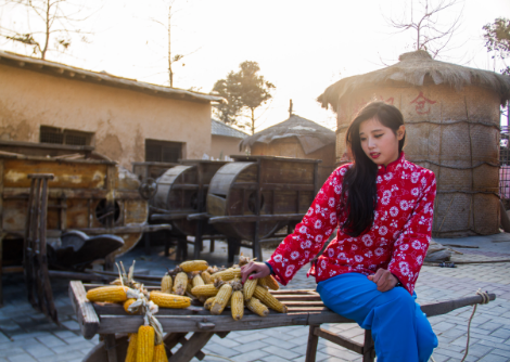 QQ截图20151201130407.png