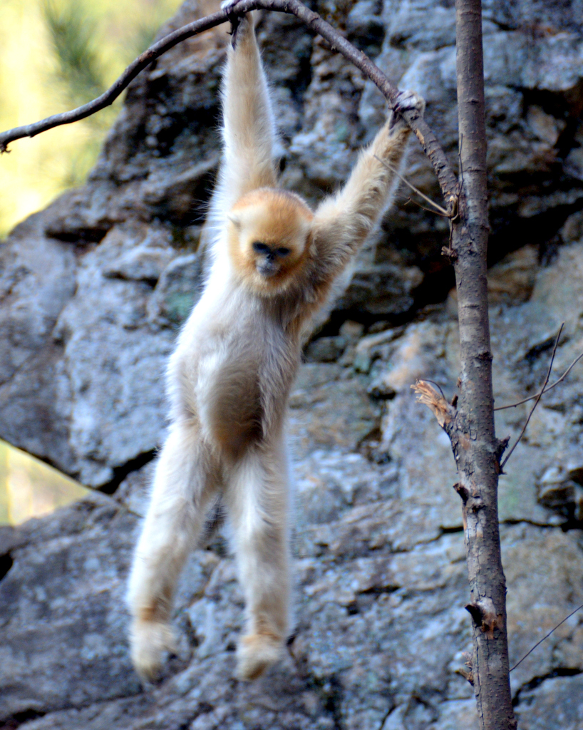 DSC_8251.jpg