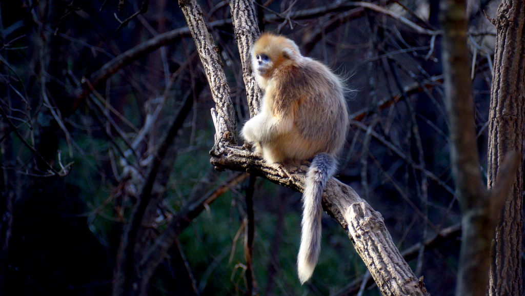 DSC_8164.jpg