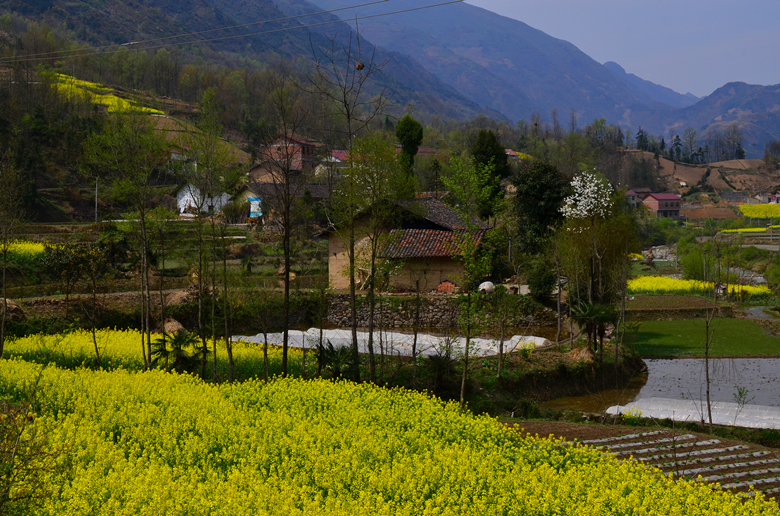 DSC_0015 (2)_副本.jpg