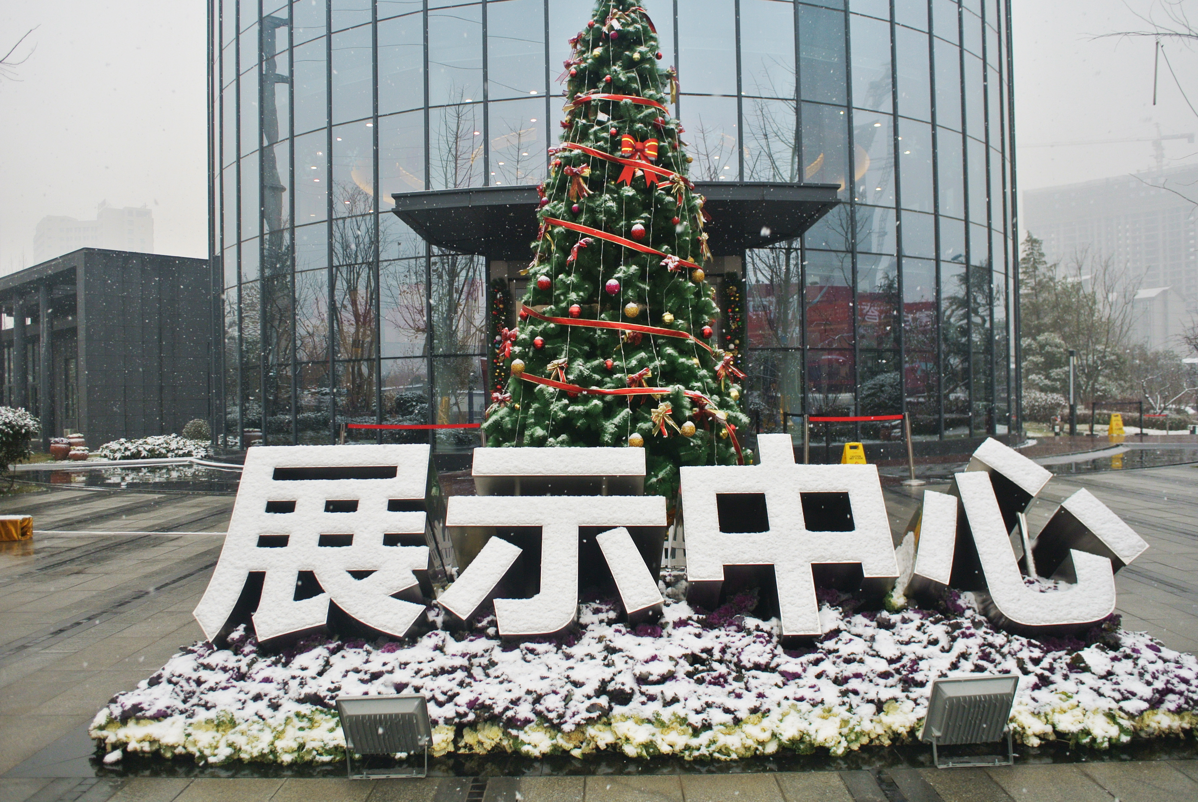 DSC_6590.JPG