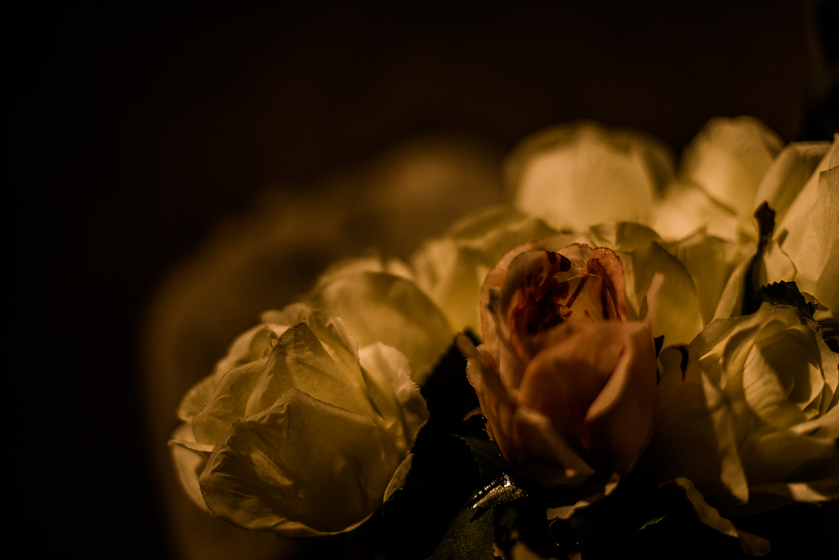 009_8537.jpg