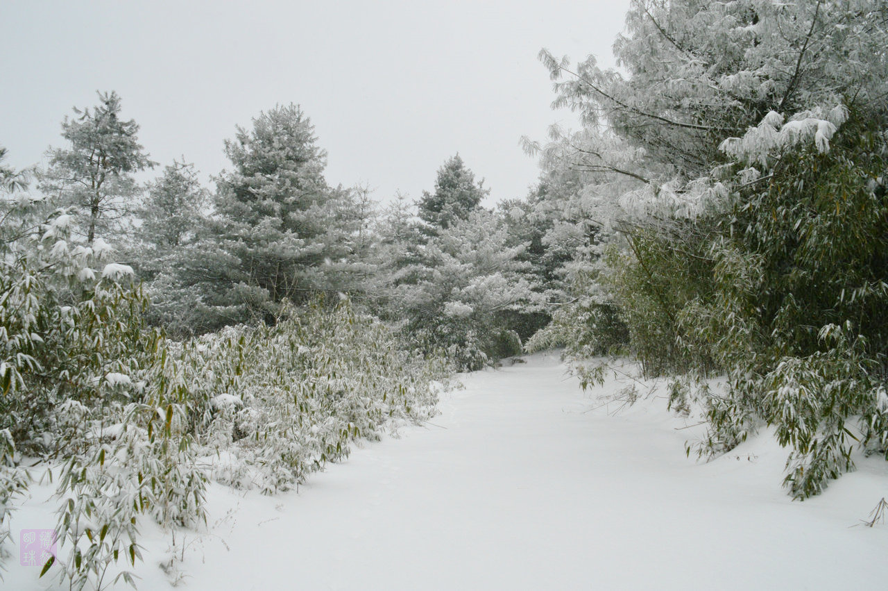 DSC_3609.JPG