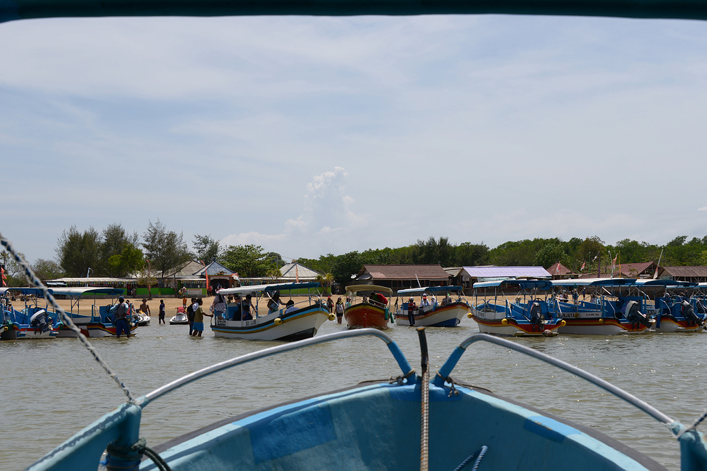 DSC_3511.JPG