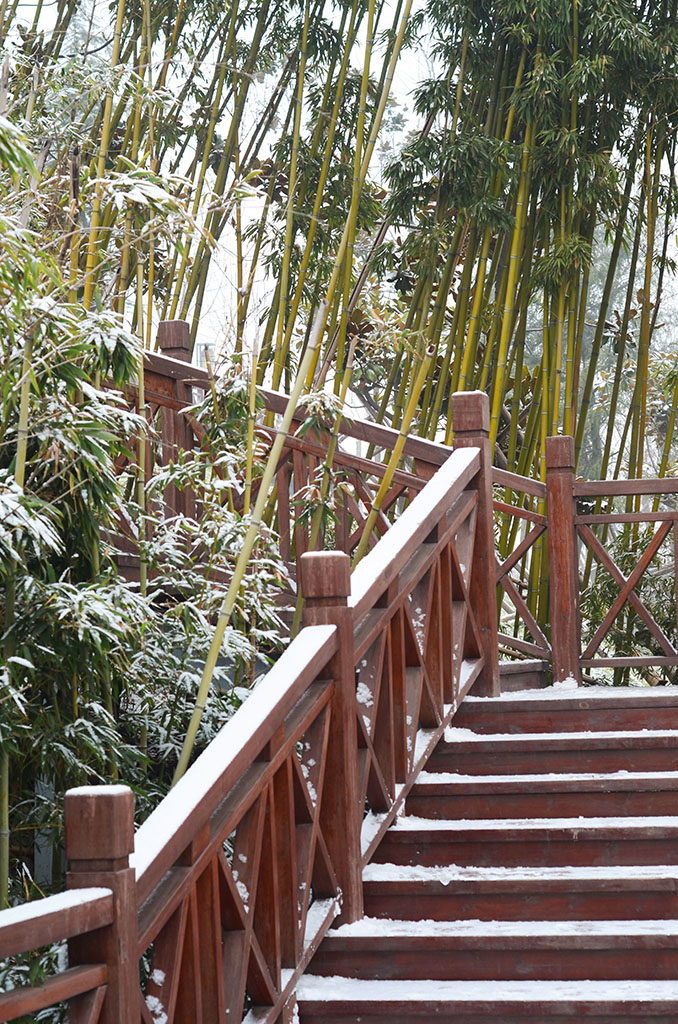 DSC_2702副本.jpg