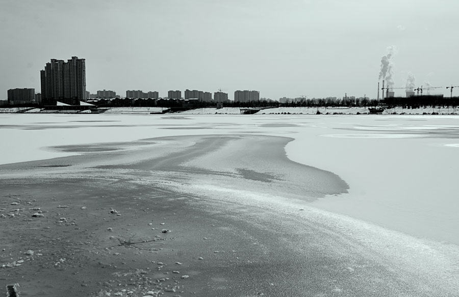 DSC_8423-1.jpg