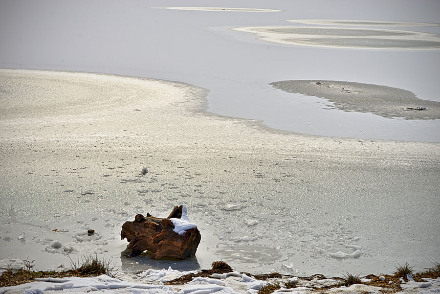 DSC_6941-1.jpg