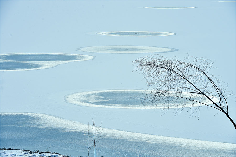 DSC_6925-1.jpg