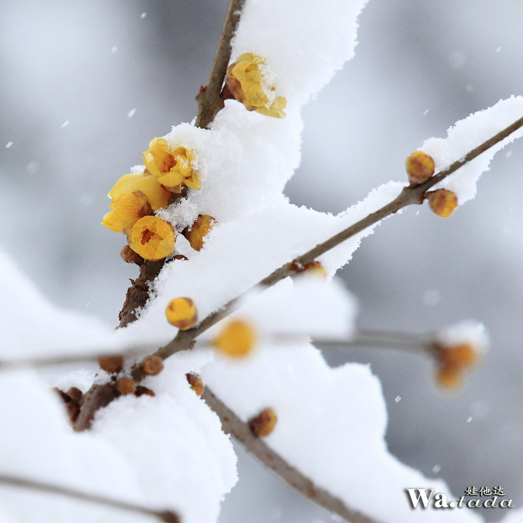 IMG_0156_副本.jpg