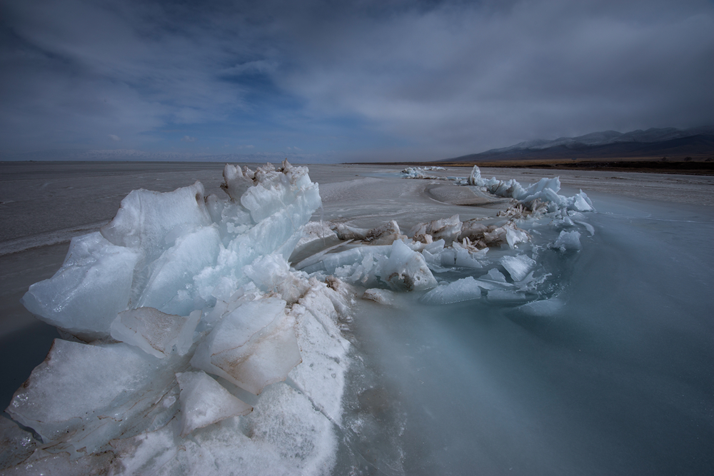 _DSC6306.jpg