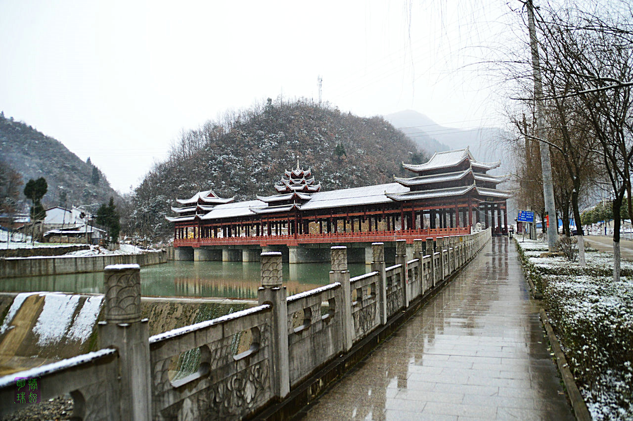 DSC_1144.JPG