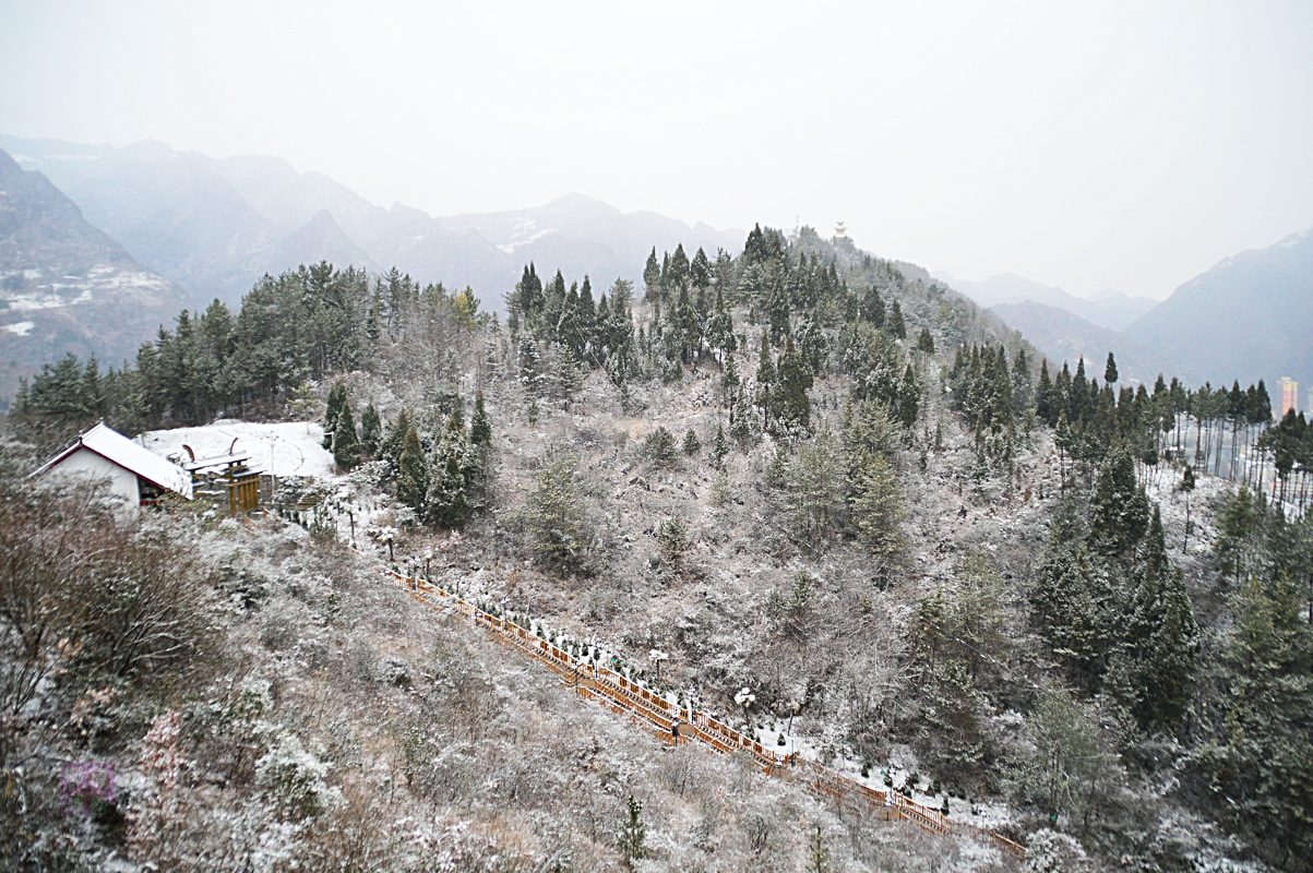 DSC_1175_副本.JPG