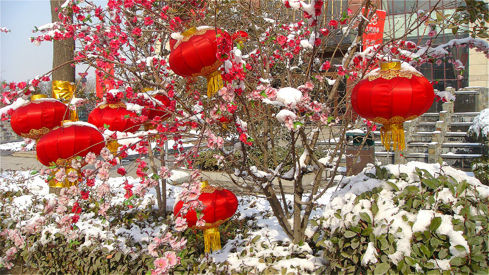 DSC05336_meitu_109.jpg
