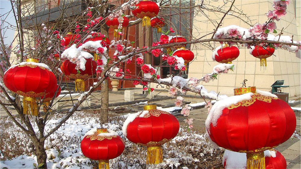 DSC05338_meitu_108.jpg