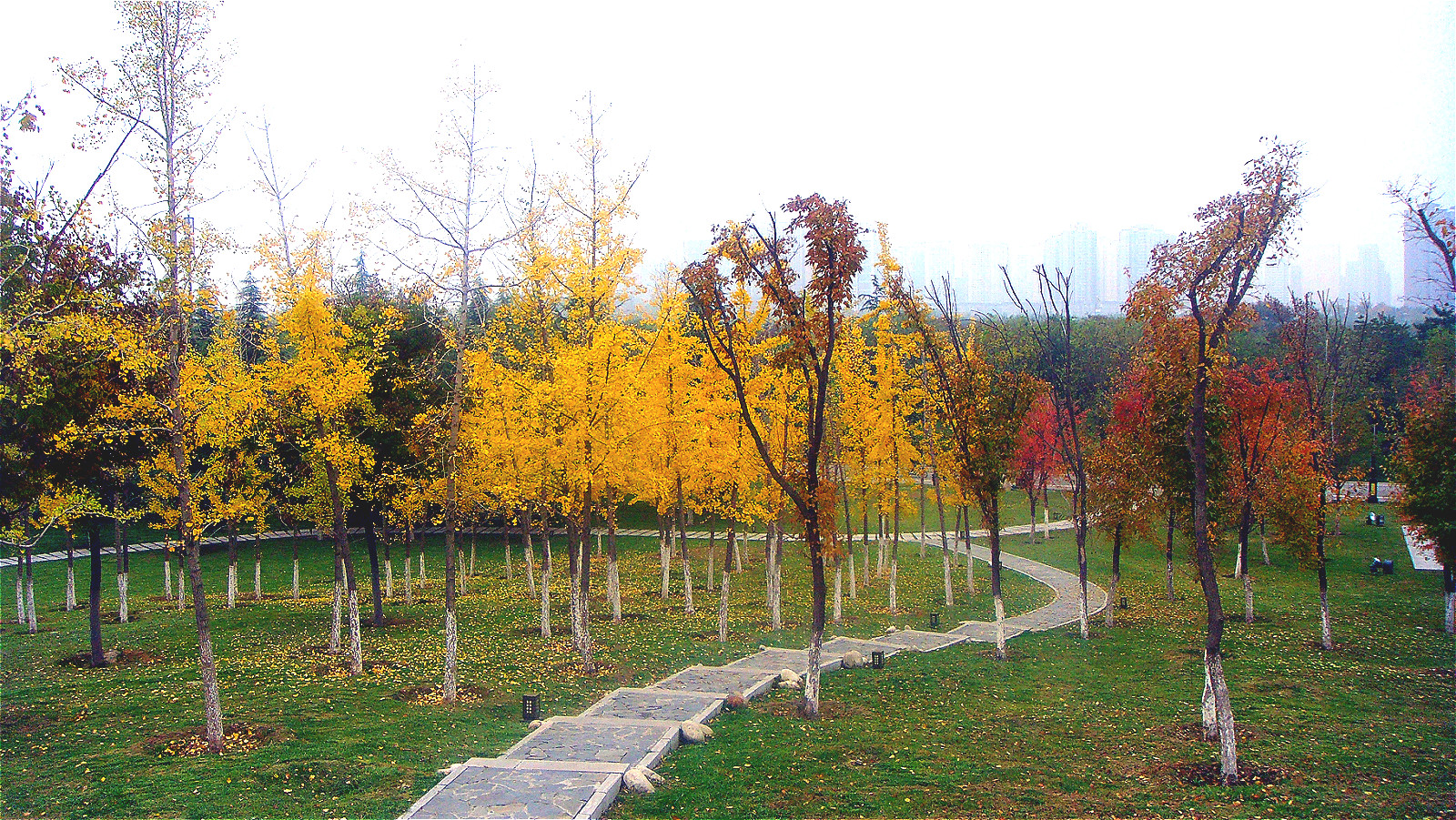 DSC02041_meitu_43.jpg