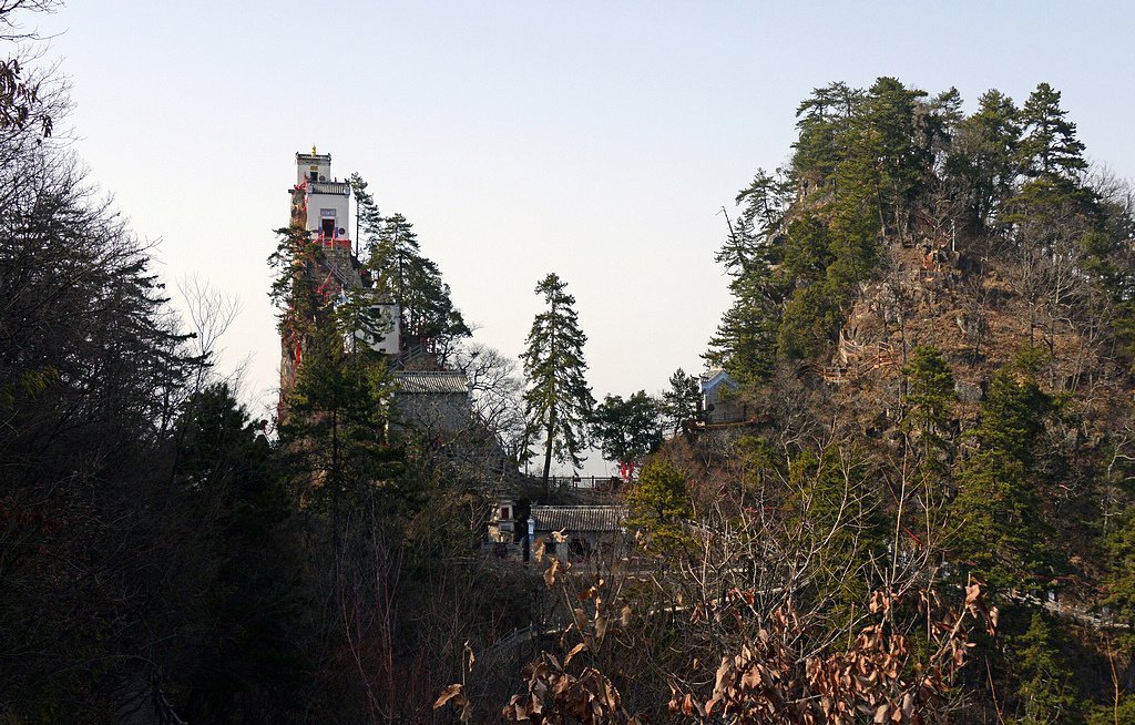 DSC_7677.JPG