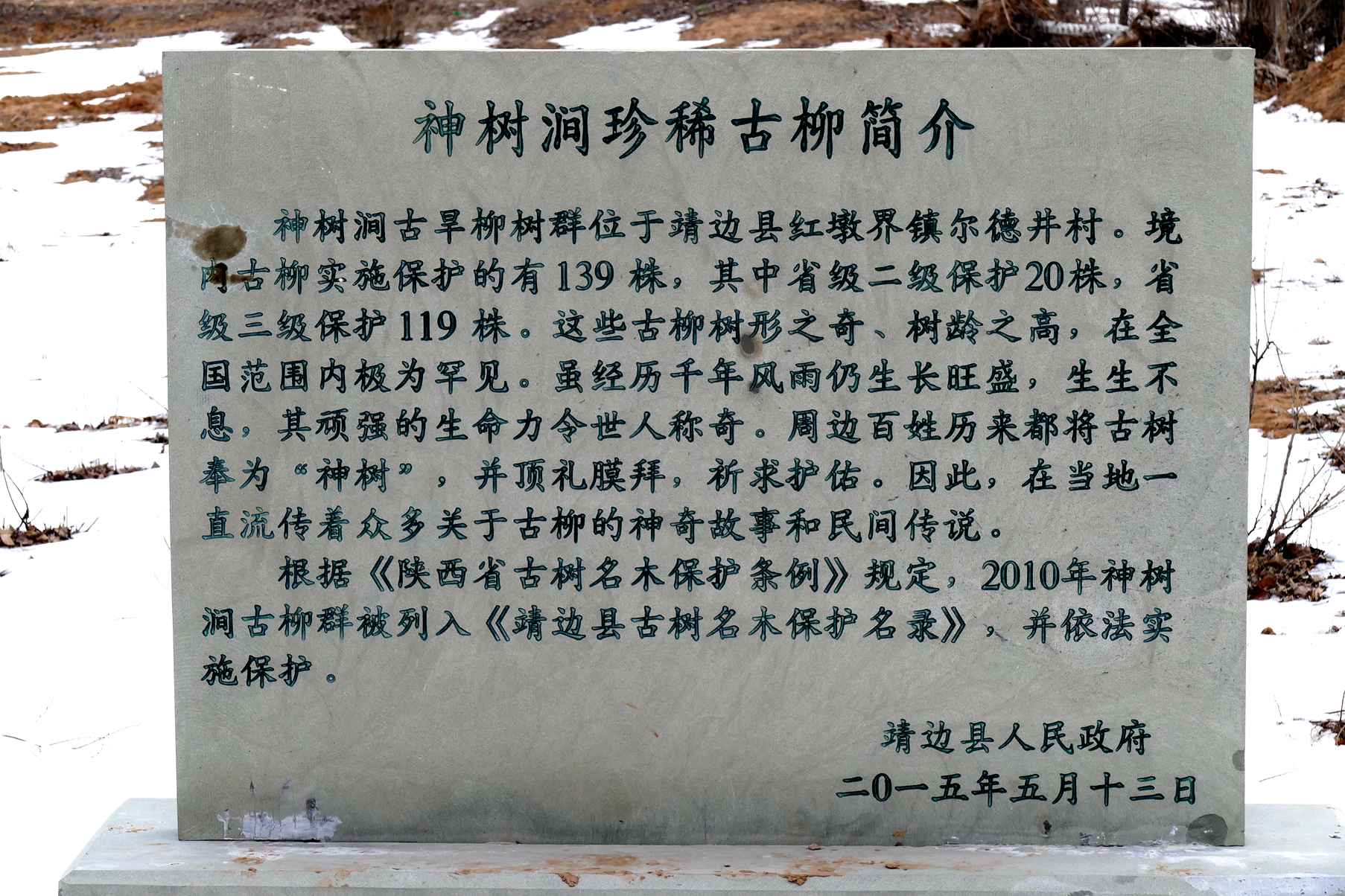 L1220474.JPG
