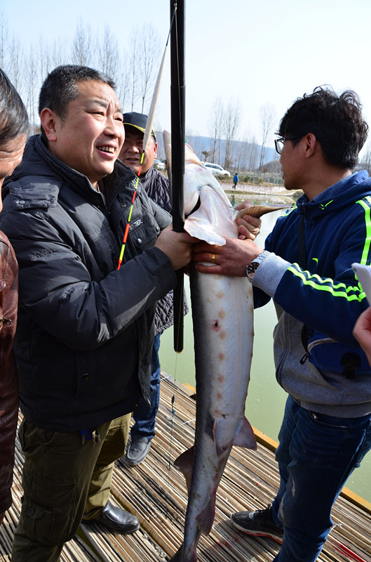 DSC_3935_副本.jpg