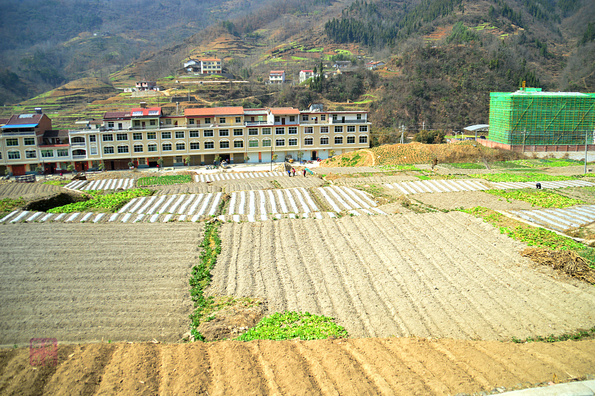 DSC_1965_副本.JPG