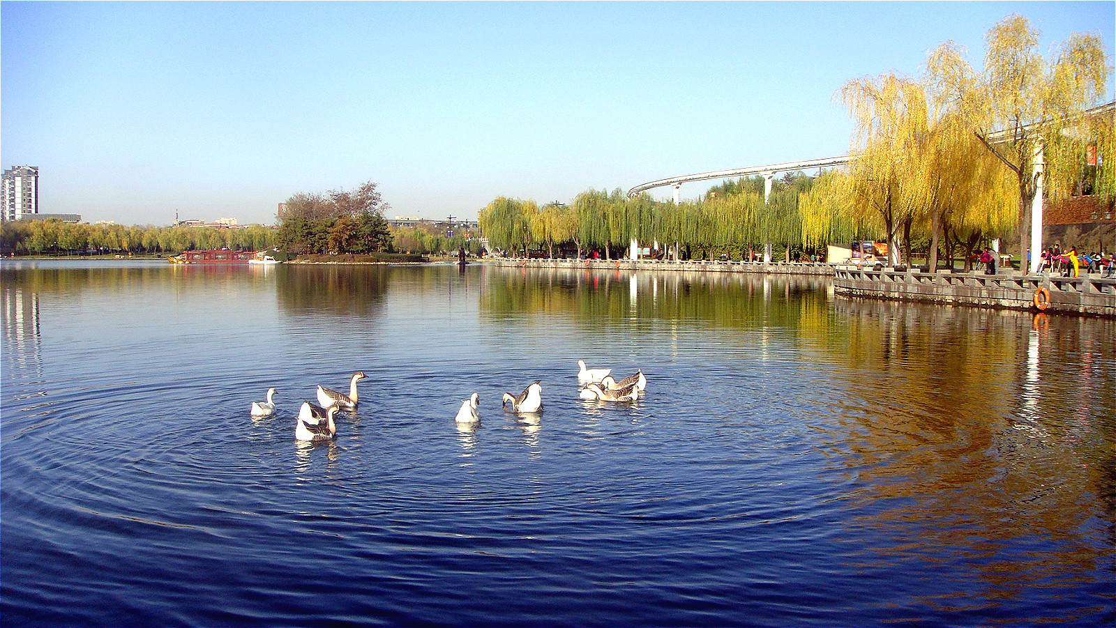 DSC02838_meitu_88.jpg