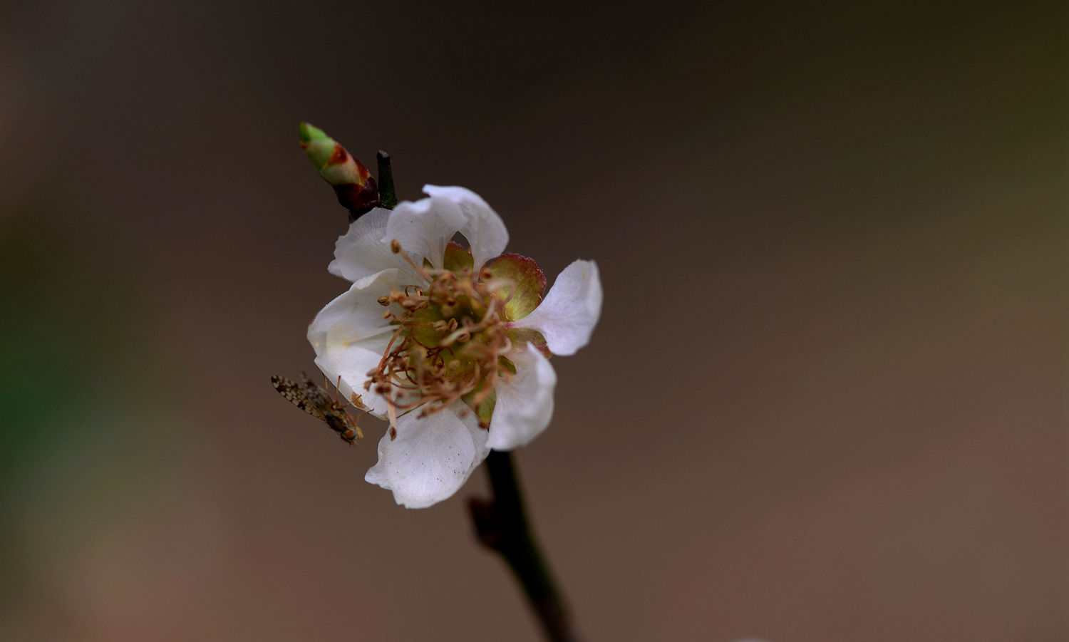 DSC_5759.JPG