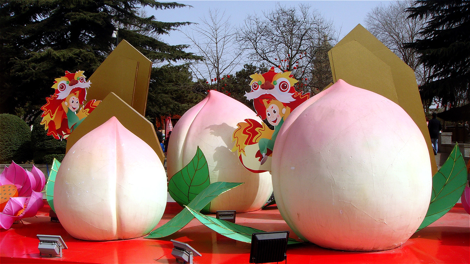 DSC06025_meitu_2.jpg