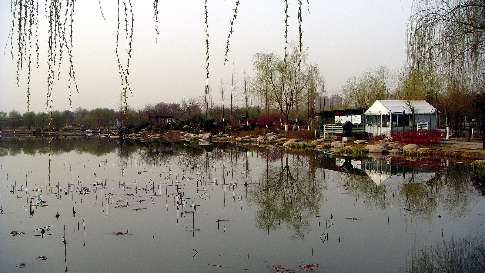 DSC06253_meitu_77.jpg