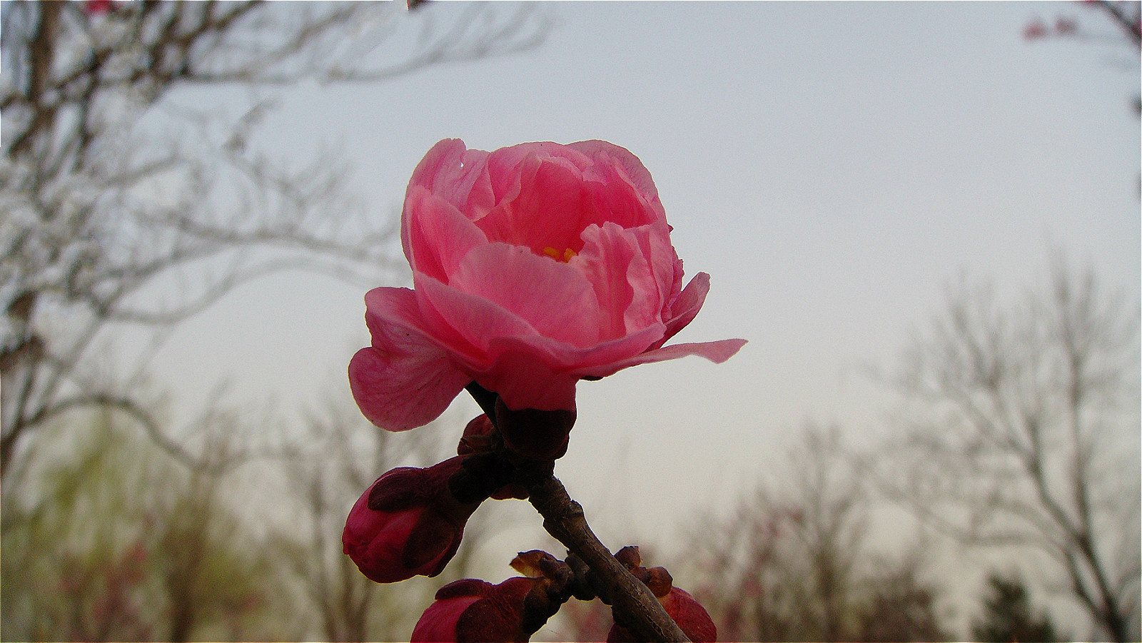 DSC06317_meitu_20.jpg