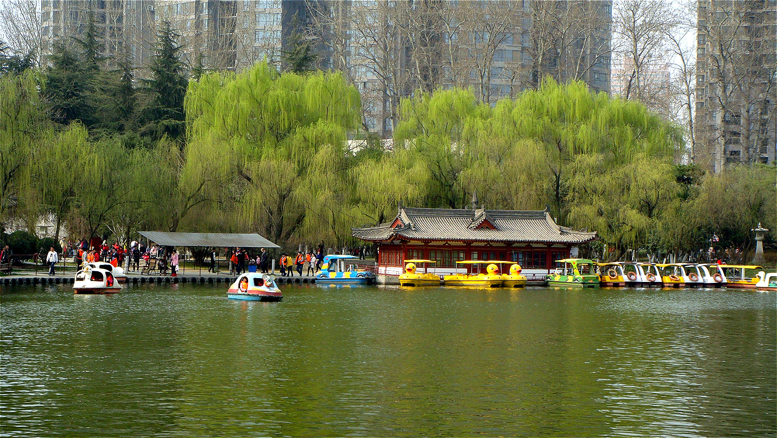 DSC06549_meitu_105.jpg