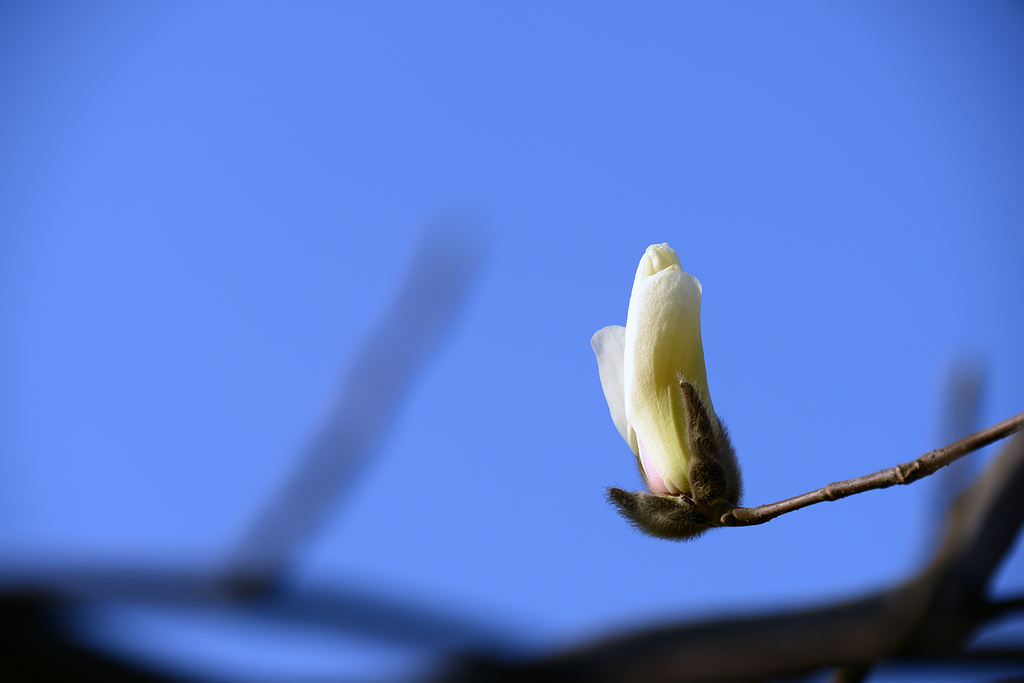 DSC_8006.JPG